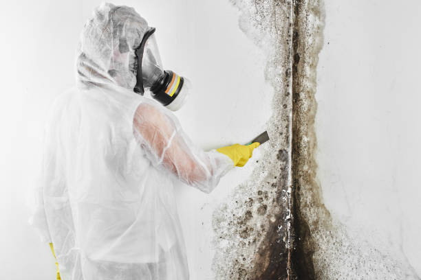 Best Crawl Space Mold Removal  in Stockbridge, GA