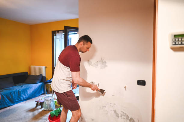 Best Emergency Mold Removal  in Stockbridge, GA